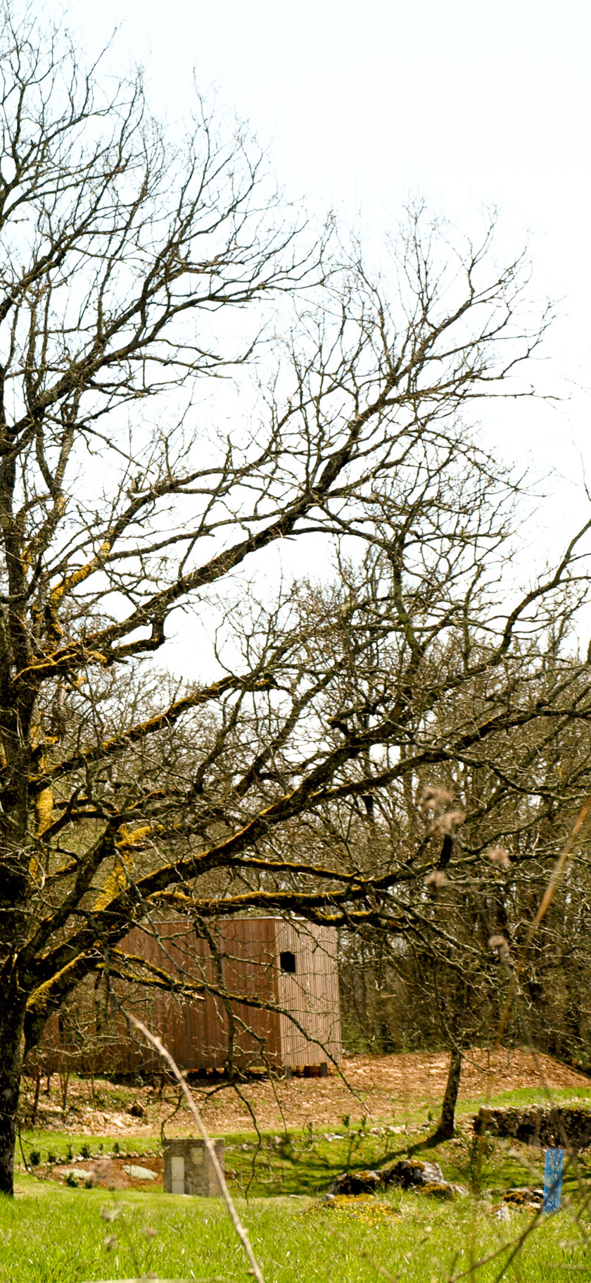 Maison P - Yann Ouvrieux architecte - Cachée dan sles arbres